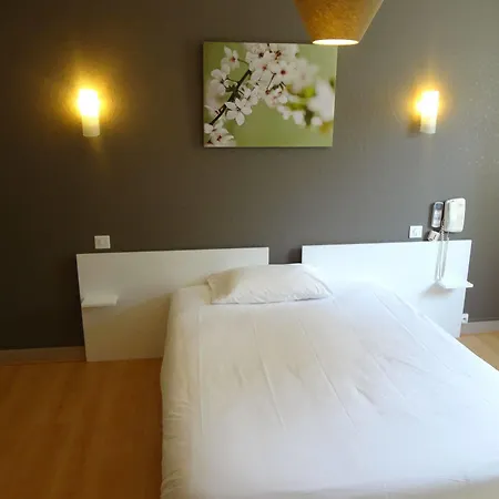 Brit Du Parc Centre-parking Gratuit Hotel Niort