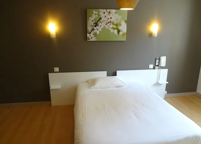 Brit Du Parc Centre-parking Gratuit 3*